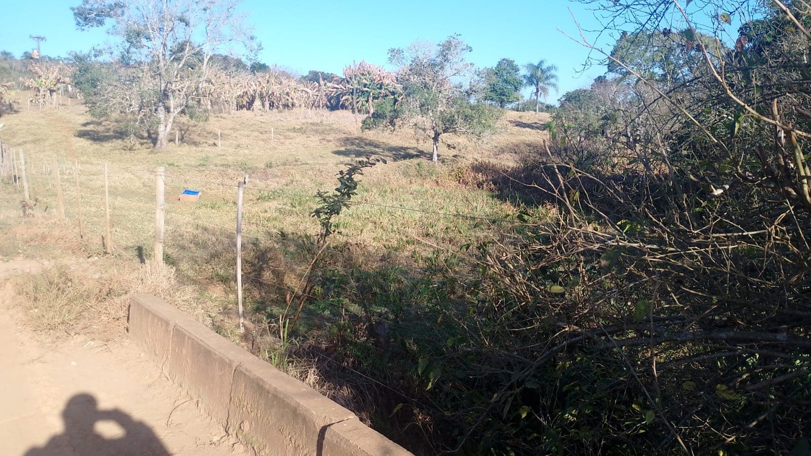 Foto 3 de 5: Area Rural em leilão em Tejupá - SP — HASTA 3/2025 - DIVISÃO DE EXECUÇÃO SOROCABA