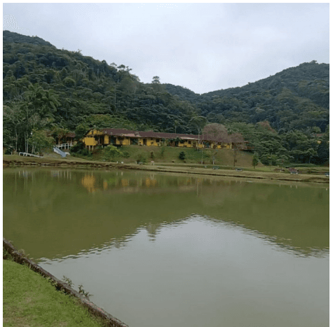 Foto 2 de 6: Area Rural em leilão em Miracatu - SP — HASTA 3/2025 - DIVISÃO DE EXECUÇÃO SOROCABA