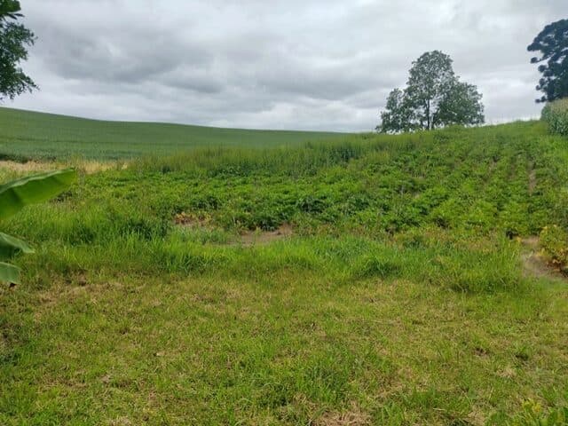 Foto 8 de 11: Area Rural em leilão em Araucária - PR — O TERRENO RURAL, SOB DENOMINACAO AREA B, COM 363.000,00M2 (TREZENTOS E SESSENTA E TRES MIL METROS QUADRADOS)