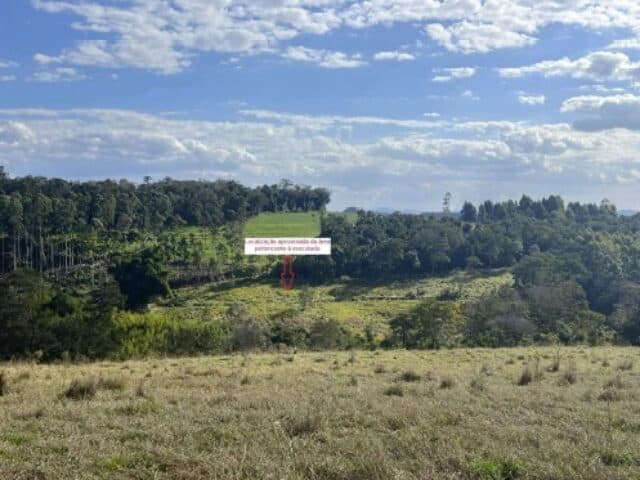 Foto 4 de 4: Area Rural em leilão em Barão De Antonina - SP — FRACAO IDEAL DE 1,85% EQUIVALENTE A 1,54HA E ENCONTRA-SE DEMARCADA E CERCADA: UM LOTE DE TERRAS RURAL SOB NO 242, COM A