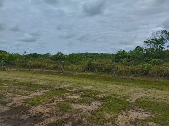 Foto 4 de 6: Terreno em leilão em Pontal Do Paraná - PR, bairro Pontal do Sul — TERRENO COM 560M2 - RUA DOS TUCANOS, NO 91, PONTAL DO SUL,