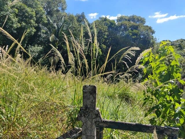 Foto 6 de 10: Terreno em leilão em Curitiba - PR, bairro Pilarzinho — TERRENO NA RUA CARLOS GARBACCIO, 161, VISTA ALEGRE, CURITIBA/PR C/ 1.021M2