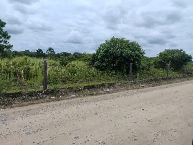 Foto 4 de 8: Terreno em leilão em Pontal Do Paraná - PR, bairro Pontal do Sul — TERRENO COM 702,00M2 - RUA PARDAL, NO 71, PONTAL DO SUL,