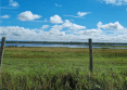Foto 5 de 9: Area Rural em leilão em Quissamã - RJ — ÁREA DE 266.200M², “Sabão