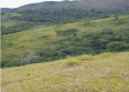 Foto 3 de 5: Area Rural em leilão em Campos Dos Goytacazes - RJ, bairro Rio Preto — ÁREA DE 690.500M², IMÓVEL R