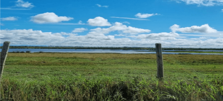 Foto 2 de 9: Area Rural em leilão em Quissamã - RJ — ÁREA DE 266.200M², “Sabão