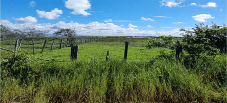 Foto 3 de 9: Area Rural em leilão em Quissamã - RJ — ÁREA DE 266.200M², “Sabão