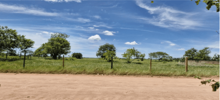 Foto 6 de 14: Area Rural em leilão em Campos Dos Goytacazes - RJ — ESTRADA CARROÇÁVEL - RIO DA
