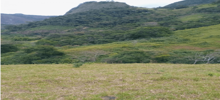 Foto 1 de 5: Area Rural em leilão em Campos Dos Goytacazes - RJ, bairro Rio Preto — ÁREA DE 690.500M², IMÓVEL R