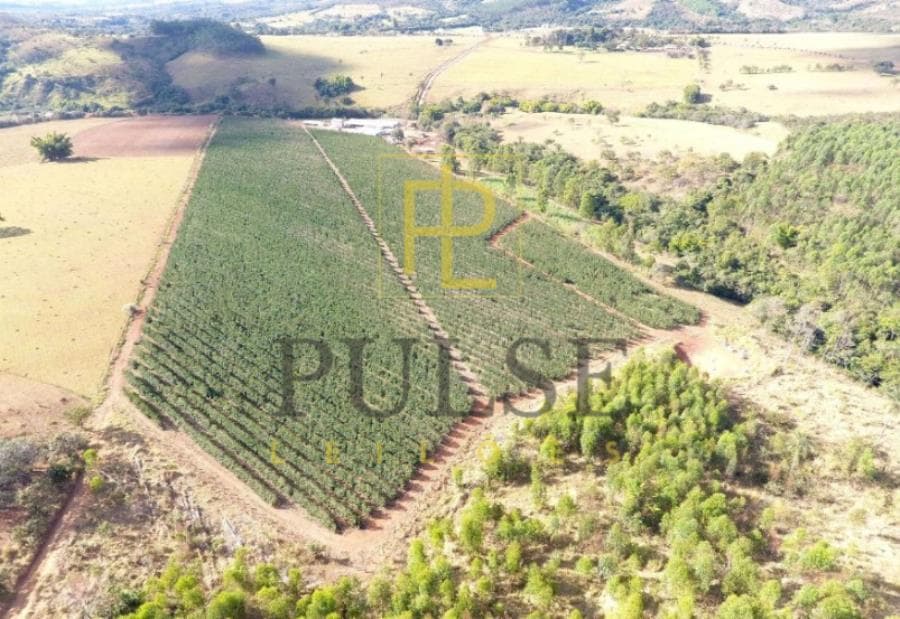 Foto 3 de 5: Area Rural em leilão em Piumhi - MG — Piumhi(MG) - fazenda com 29,33,50 ha Piumhi (MG) - Imóveis