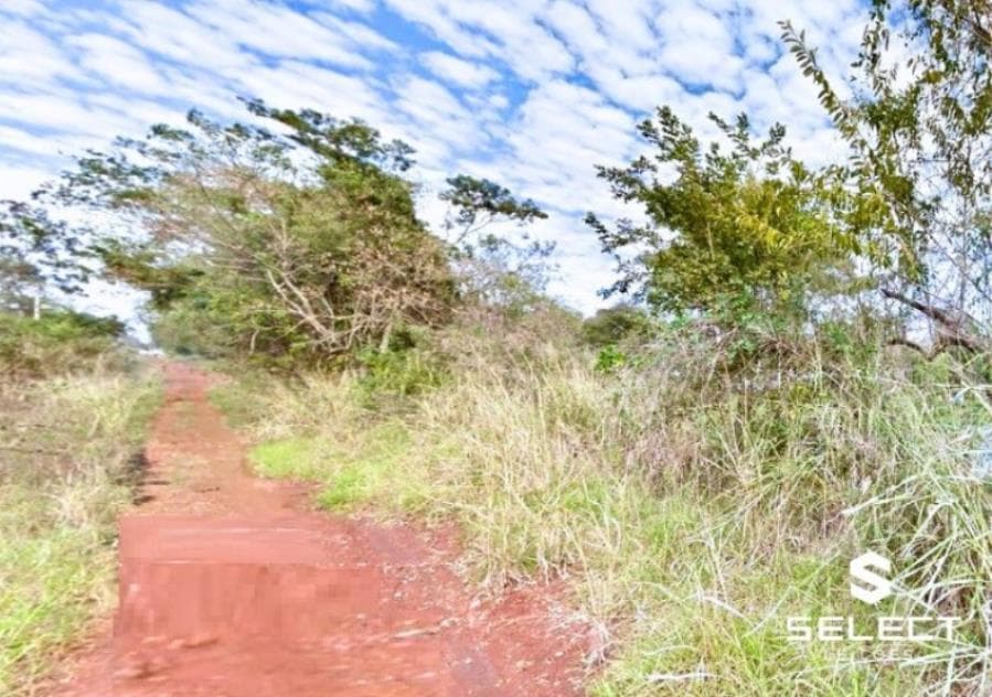 Foto 1 de 3: Terreno em leilão em Dourados - MS, bairro Vila Santo André — Terreno de 551,78m² em Dourados 4ª VARA CÍVEL DE DOURADOS/MS