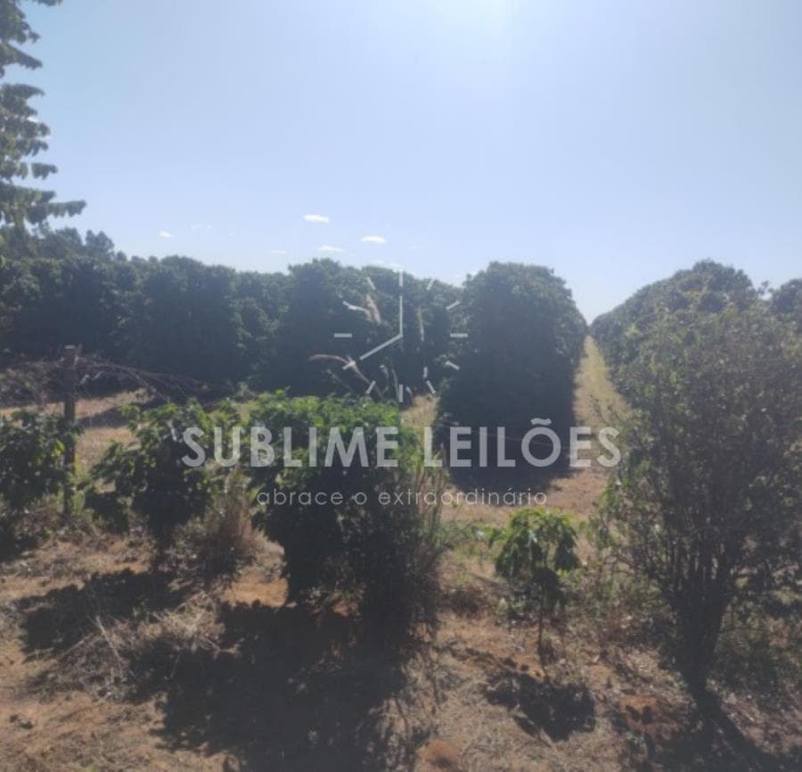 Foto 16 de 16: Area Rural em leilão em Ribeirão Corrente - SP — B) Gleba de terras | Terreno de 10,55 hectares Casa e área em Franca