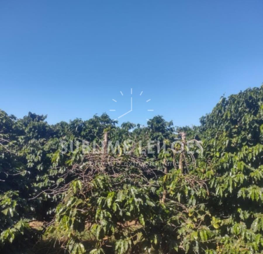 Foto 14 de 16: Area Rural em leilão em Ribeirão Corrente - SP — B) Gleba de terras | Terreno de 10,55 hectares Casa e área em Franca