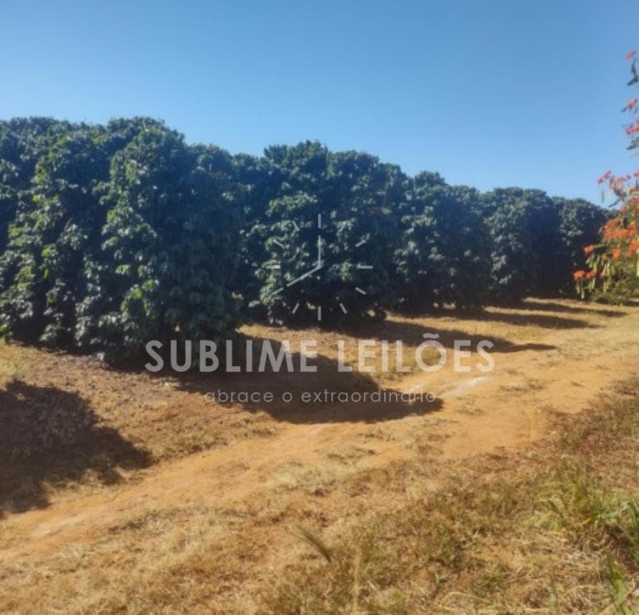 Foto 13 de 16: Area Rural em leilão em Ribeirão Corrente - SP — B) Gleba de terras | Terreno de 10,55 hectares Casa e área em Franca