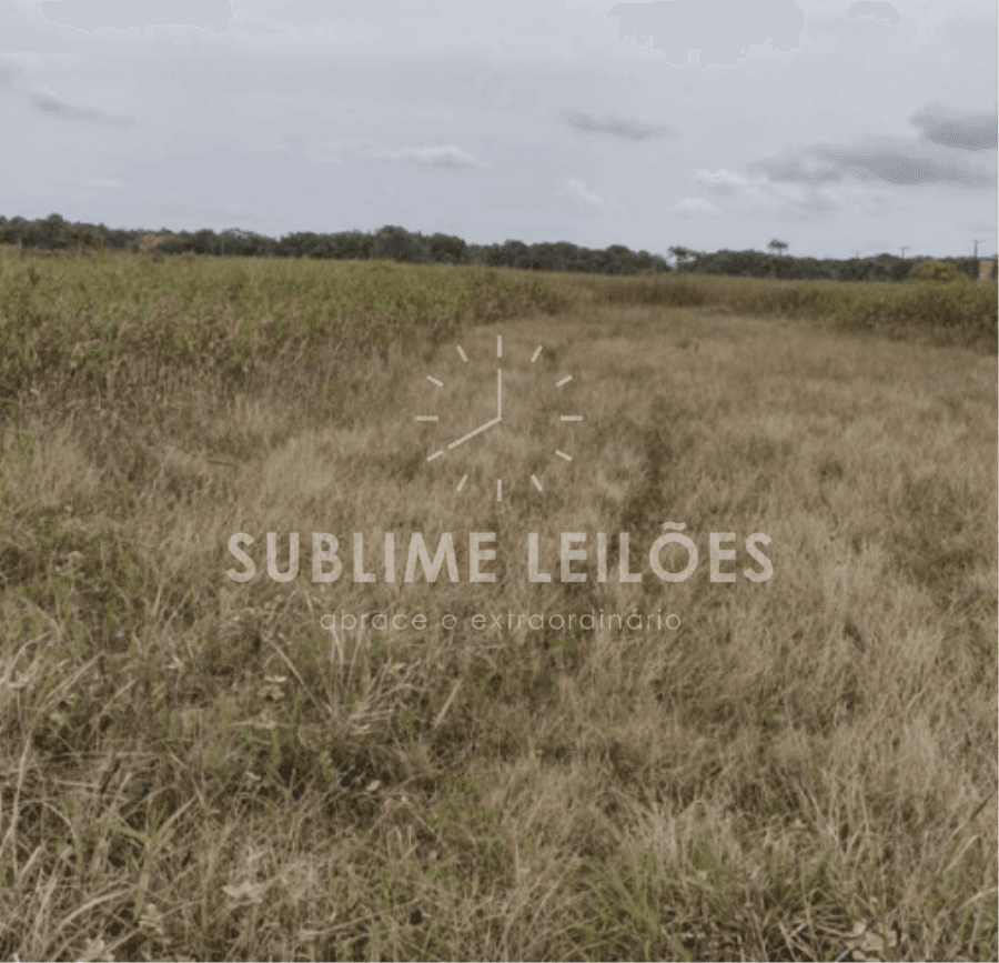 Foto 9 de 12: Terreno em leilão em Ilha Comprida - SP — Terreno de 300m² | Sem benfeitorias Área Urbana em Ilha Comprida
