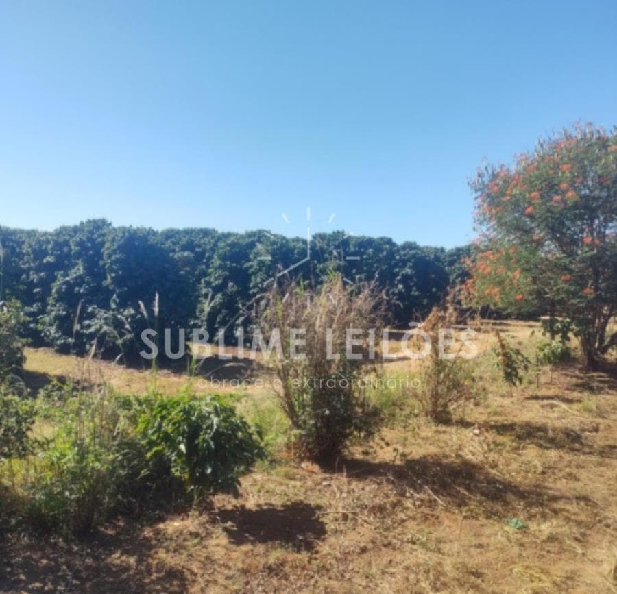 Foto 10 de 16: Area Rural em leilão em Ribeirão Corrente - SP — B) Gleba de terras | Terreno de 10,55 hectares Casa e área em Franca