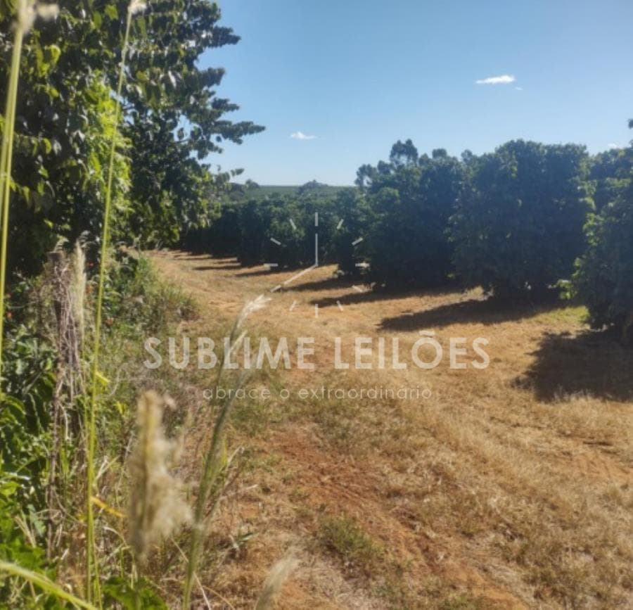 Foto 11 de 16: Area Rural em leilão em Ribeirão Corrente - SP — B) Gleba de terras | Terreno de 10,55 hectares Casa e área em Franca