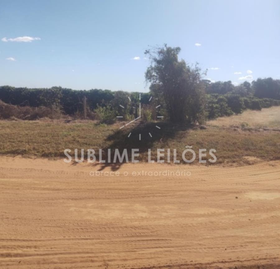 Foto 9 de 16: Area Rural em leilão em Ribeirão Corrente - SP — B) Gleba de terras | Terreno de 10,55 hectares Casa e área em Franca