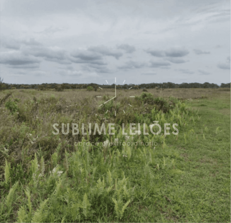 Foto 4 de 12: Terreno em leilão em Ilha Comprida - SP — Terreno de 300m² | Sem benfeitorias Área Urbana em Ilha Comprida
