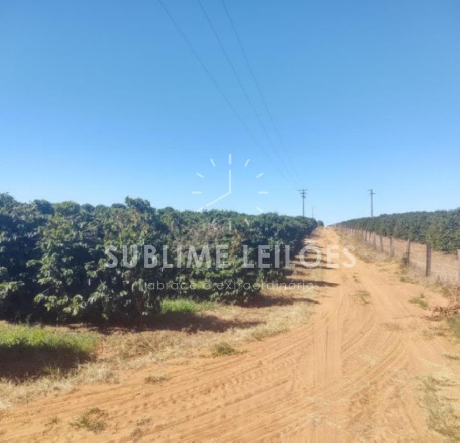 Foto 15 de 16: Area Rural em leilão em Ribeirão Corrente - SP — B) Gleba de terras | Terreno de 10,55 hectares Casa e área em Franca