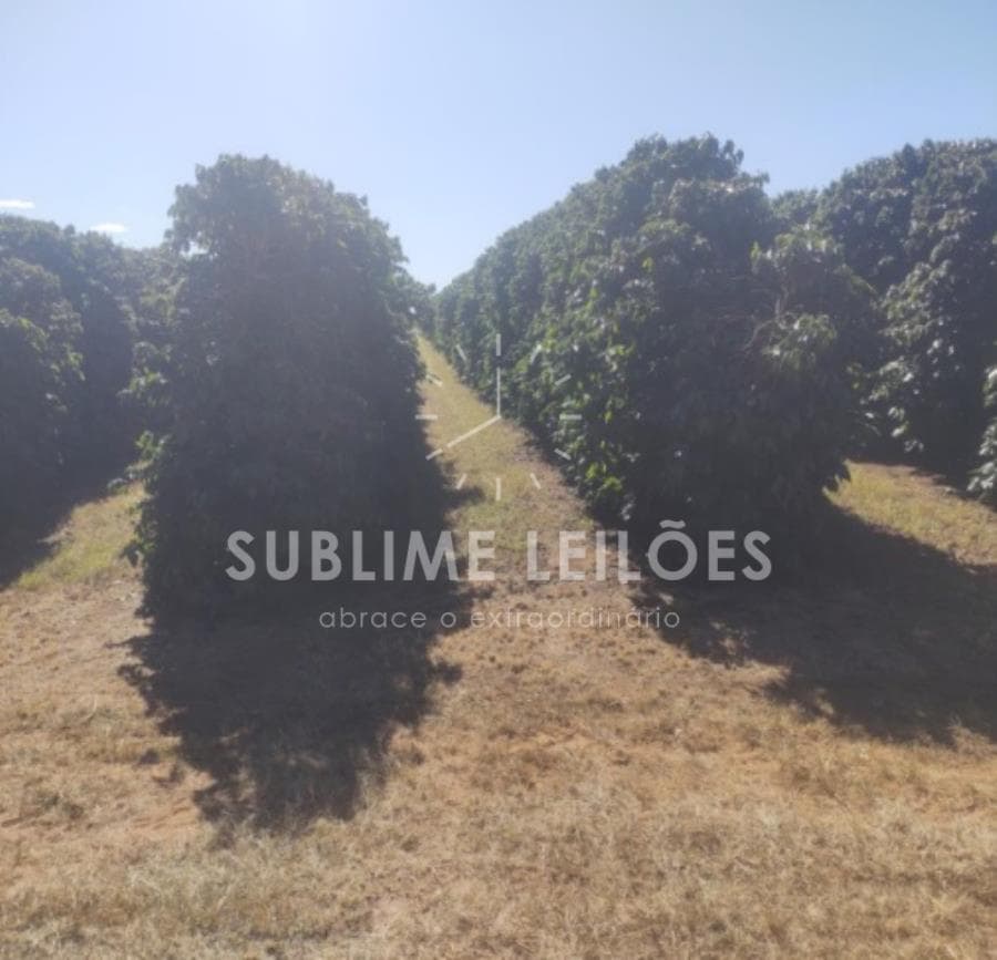 Foto 12 de 16: Area Rural em leilão em Ribeirão Corrente - SP — B) Gleba de terras | Terreno de 10,55 hectares Casa e área em Franca