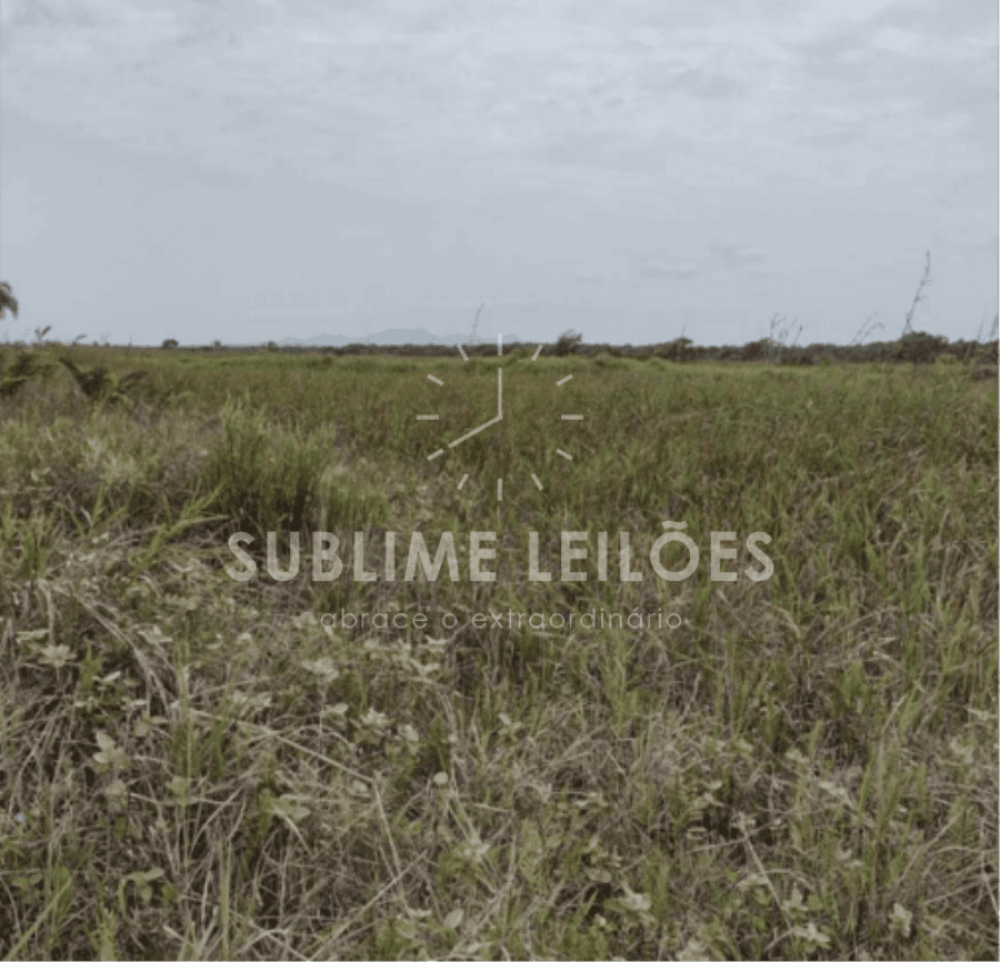 Foto 11 de 12: Terreno em leilão em Ilha Comprida - SP — Terreno de 300m² | Sem benfeitorias Área Urbana em Ilha Comprida