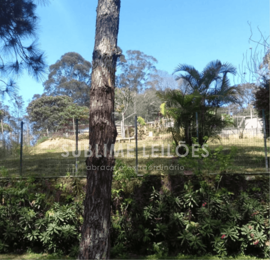 Foto 5 de 9: Terreno em leilão em Cotia - SP — Lote 04-A | Terreno 784m² 2 Terrenos em Cotia - Cond. fechado I
