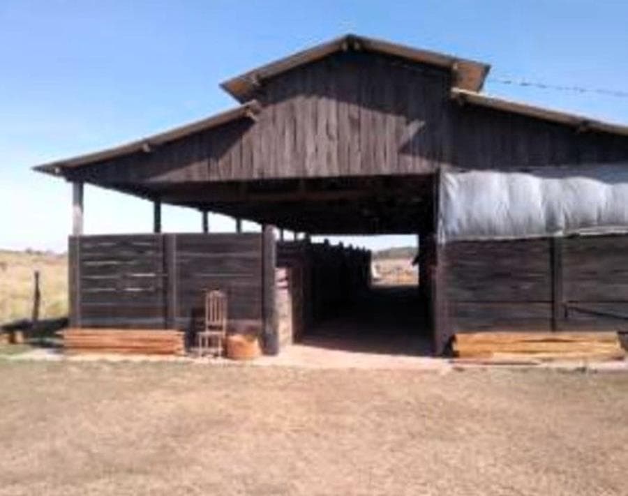 Foto 13 de 30: Area Rural em leilão em Nova Brasilândia - MT — Nova Brasilândia - MT Fazenda São Luiz - 1.791 Ha - J040