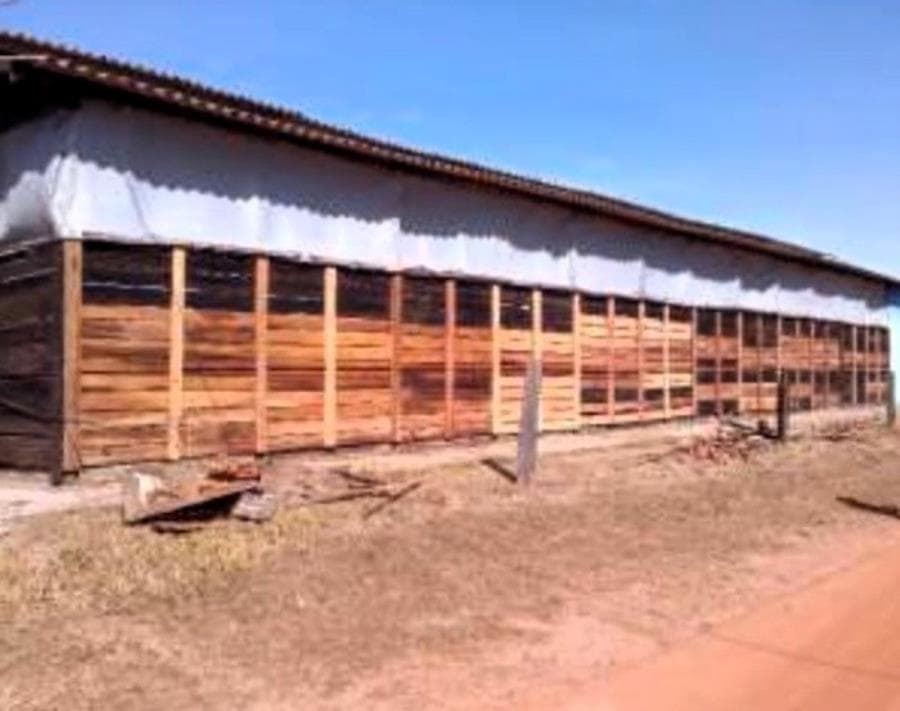 Foto 14 de 30: Area Rural em leilão em Nova Brasilândia - MT — Nova Brasilândia - MT Fazenda São Luiz - 1.791 Ha - J040