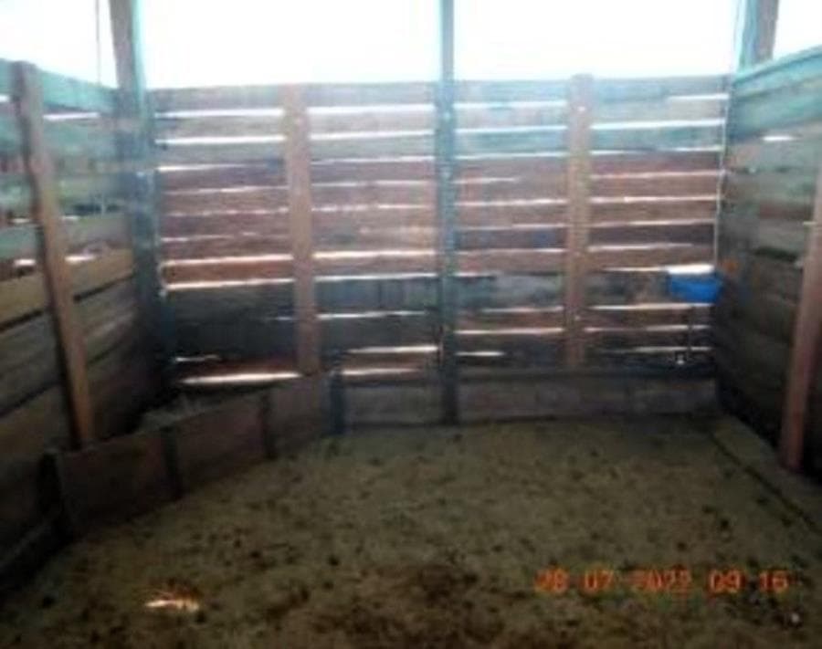 Foto 15 de 30: Area Rural em leilão em Nova Brasilândia - MT — Nova Brasilândia - MT Fazenda São Luiz - 1.791 Ha - J040