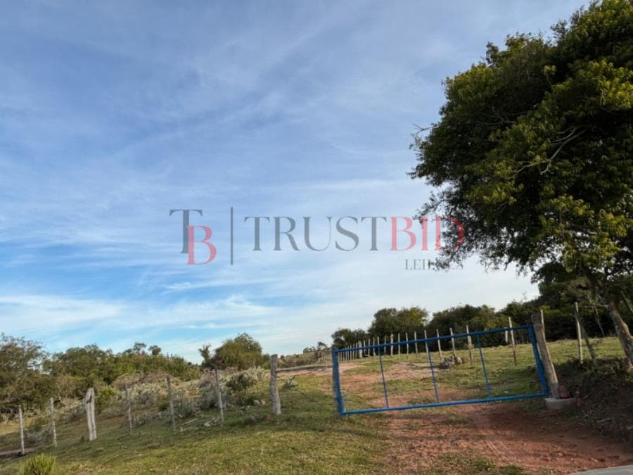 Foto 4 de 9: Area Rural em leilão em Santana Da Boa Vista - RS — FAZENDA | SANTANA DA BOA VISTA/RS FAZENDA | SANTANA DA BOA VISTA/RS