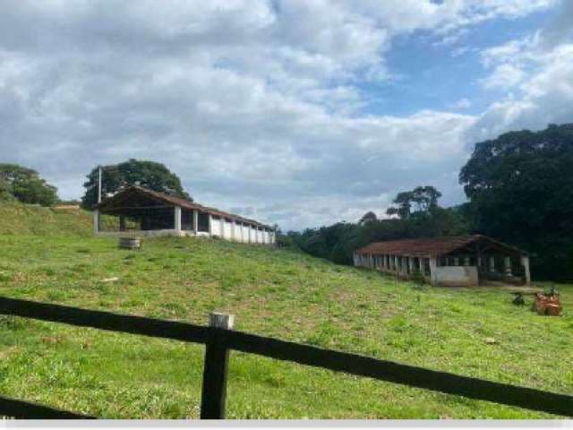 Foto 18 de 20: Area Rural em leilão em Atibaia - SP, bairro Boa Vista — Fazenda Santa Luzia com 85,1700 ha em Atibaia/SP
